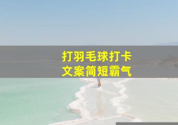 打羽毛球打卡文案简短霸气