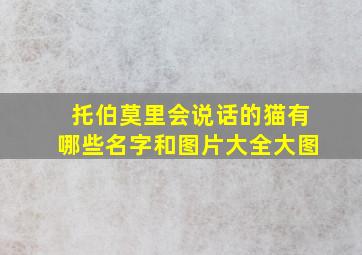 托伯莫里会说话的猫有哪些名字和图片大全大图