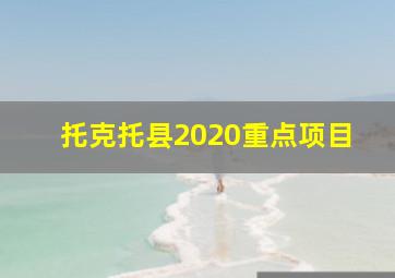 托克托县2020重点项目