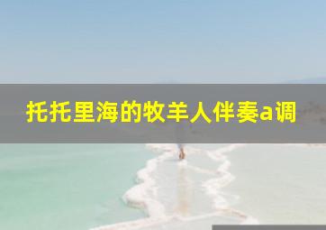 托托里海的牧羊人伴奏a调