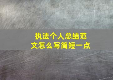 执法个人总结范文怎么写简短一点