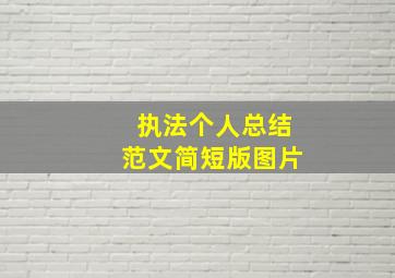 执法个人总结范文简短版图片