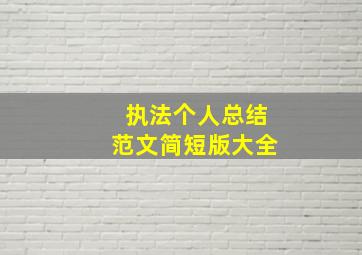 执法个人总结范文简短版大全