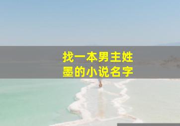 找一本男主姓墨的小说名字