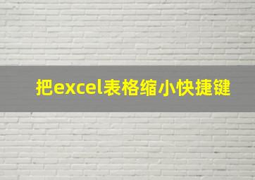 把excel表格缩小快捷键