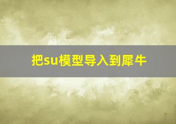 把su模型导入到犀牛