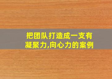 把团队打造成一支有凝聚力,向心力的案例