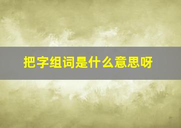 把字组词是什么意思呀