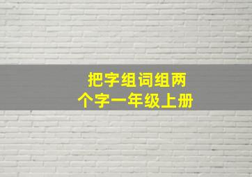 把字组词组两个字一年级上册