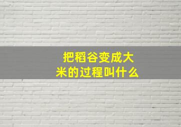 把稻谷变成大米的过程叫什么