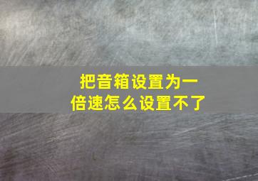 把音箱设置为一倍速怎么设置不了