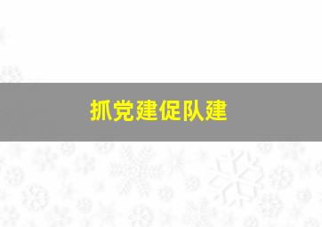 抓党建促队建