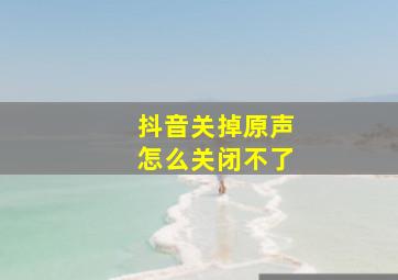 抖音关掉原声怎么关闭不了