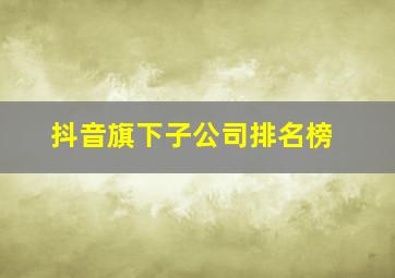 抖音旗下子公司排名榜