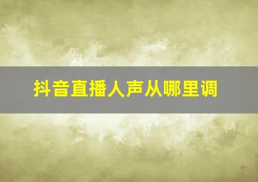 抖音直播人声从哪里调