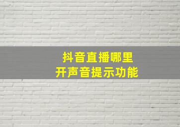 抖音直播哪里开声音提示功能