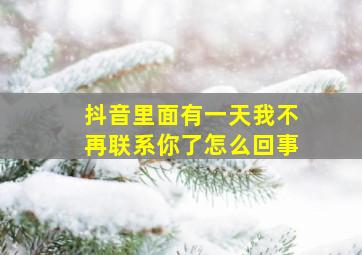 抖音里面有一天我不再联系你了怎么回事