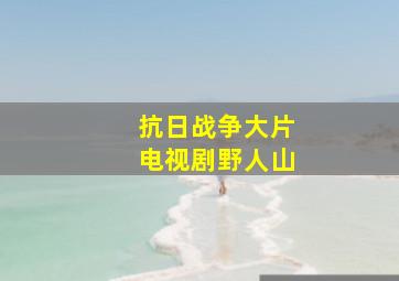 抗日战争大片电视剧野人山