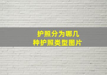 护照分为哪几种护照类型图片