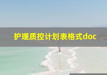 护理质控计划表格式doc