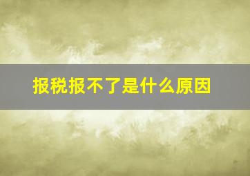 报税报不了是什么原因