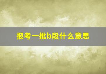 报考一批b段什么意思