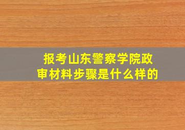 报考山东警察学院政审材料步骤是什么样的