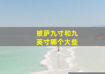 披萨九寸和九英寸哪个大些