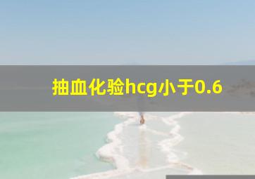 抽血化验hcg小于0.6