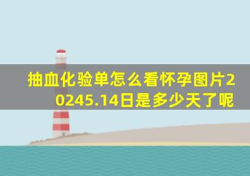 抽血化验单怎么看怀孕图片20245.14日是多少天了呢