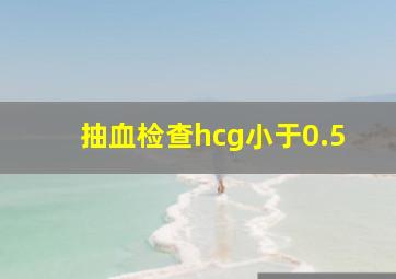 抽血检查hcg小于0.5