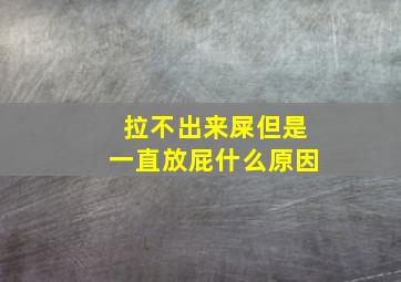 拉不出来屎但是一直放屁什么原因