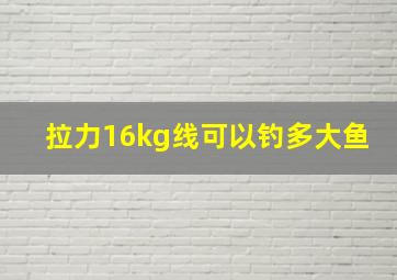 拉力16kg线可以钓多大鱼