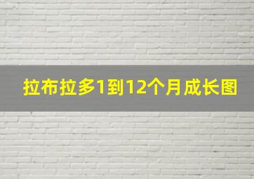 拉布拉多1到12个月成长图