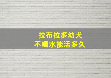 拉布拉多幼犬不喝水能活多久