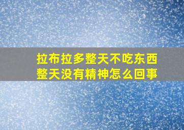 拉布拉多整天不吃东西整天没有精神怎么回事