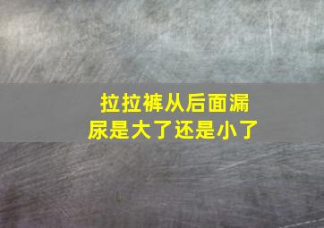 拉拉裤从后面漏尿是大了还是小了