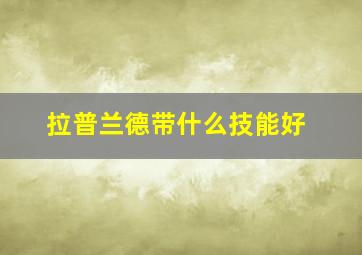 拉普兰德带什么技能好