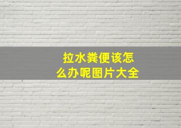 拉水粪便该怎么办呢图片大全