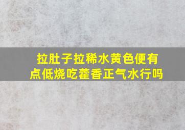 拉肚子拉稀水黄色便有点低烧吃藿香正气水行吗