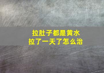 拉肚子都是黄水拉了一天了怎么治