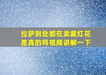 拉萨到处都在卖藏红花是真的吗视频讲解一下