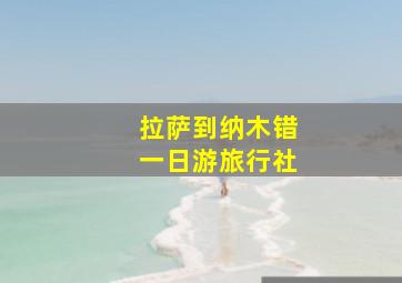 拉萨到纳木错一日游旅行社