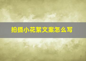 拍摄小花絮文案怎么写