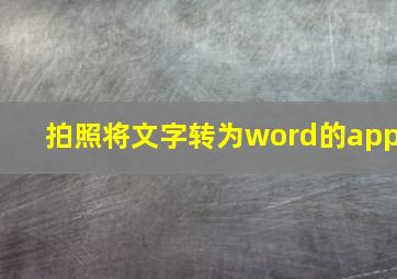 拍照将文字转为word的app