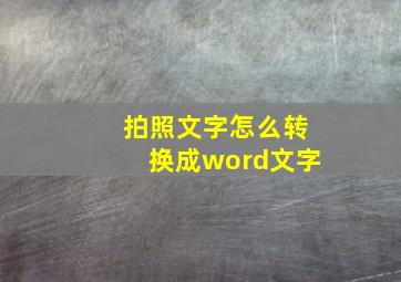 拍照文字怎么转换成word文字