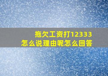 拖欠工资打12333怎么说理由呢怎么回答