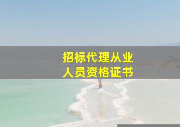 招标代理从业人员资格证书