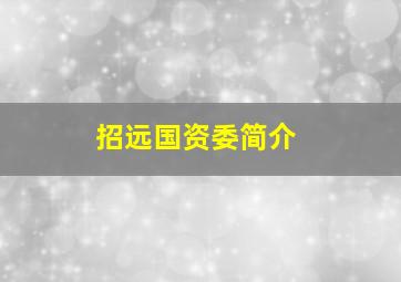 招远国资委简介