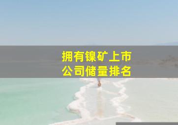 拥有镍矿上市公司储量排名